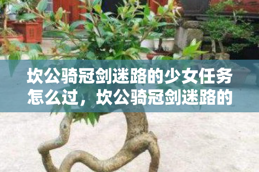 坎公骑冠剑迷路的少女任务怎么过,坎公骑冠剑迷路的少女,探索未知世界的奇幻之旅 坎公骑冠剑迷路的少女任务怎么过,坎公骑冠剑迷路的少女,探索未知世界的奇幻之旅