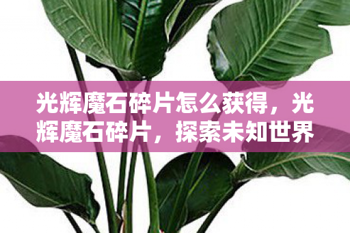 光辉魔石碎片怎么获得,光辉魔石碎片,探索未知世界的神秘钥匙 光辉魔石碎片怎么获得,光辉魔石碎片,探索未知世界的神秘钥匙