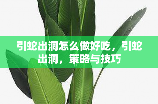 引蛇出洞怎么做好吃,引蛇出洞,策略与技巧 引蛇出洞怎么做好吃,引蛇出洞,策略与技巧