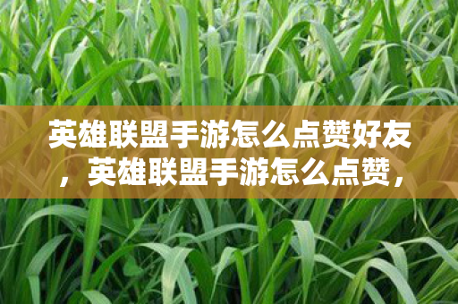 英雄联盟手游怎么点赞好友,英雄联盟手游怎么点赞,提升互动与社交体验的技巧 英雄联盟手游怎么点赞好友,英雄联盟手游怎么点赞,提升互动与社交体验的技巧