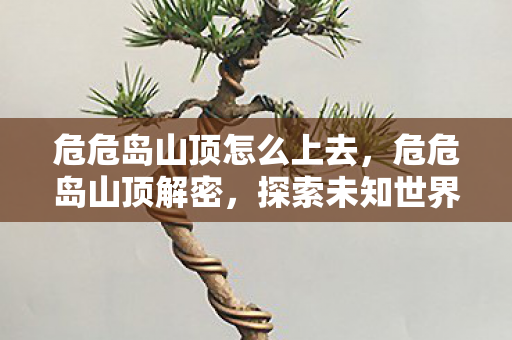 危危岛山顶怎么上去，危危岛山顶解密，探索未知世界的奇幻之旅