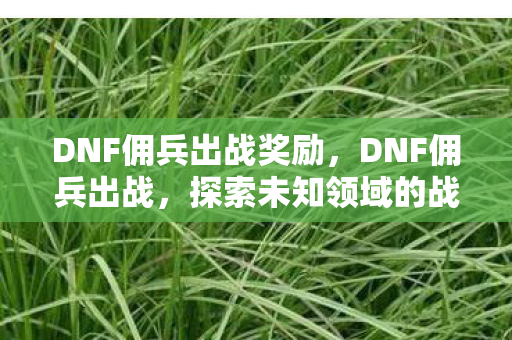 DNF佣兵出战奖励,DNF佣兵出战,探索未知领域的战斗艺术 DNF佣兵出战奖励,DNF佣兵出战,探索未知领域的战斗艺术