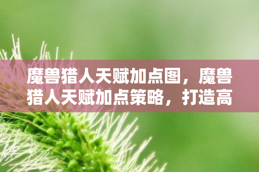 魔兽猎人天赋加点图,魔兽猎人天赋加点策略,打造高效狩猎体验 魔兽猎人天赋加点图,魔兽猎人天赋加点策略,打造高效狩猎体验