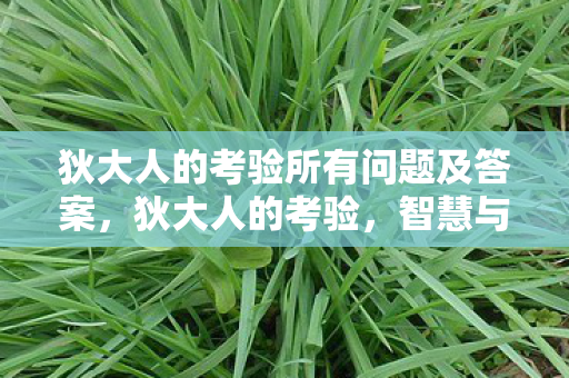 狄大人的考验所有问题及答案，狄大人的考验，智慧与正义的试炼