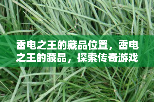 雷电之王的藏品位置，雷电之王的藏品，探索传奇游戏的珍贵遗产