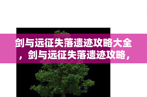 剑与远征失落遗迹攻略大全，剑与远征失落遗迹攻略，探索未知，解锁宝藏