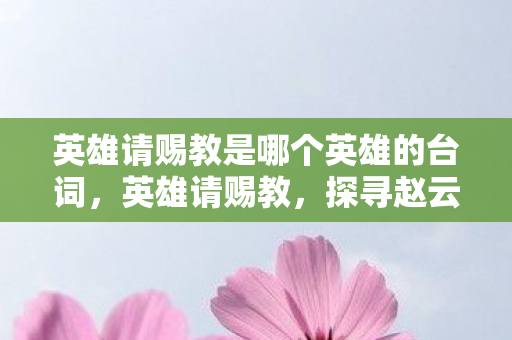 英雄请赐教是哪个英雄的台词，英雄请赐教，探寻赵云的传奇之路