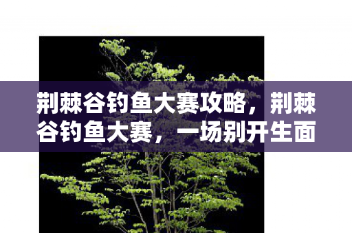 荆棘谷钓鱼大赛攻略，荆棘谷钓鱼大赛，一场别开生面的垂钓盛宴