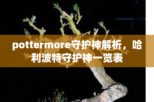 pottermore守护神解析,哈利波特守护神一览表 pottermore守护神解析,哈利波特守护神一览表
