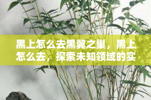 黑上怎么去黑翼之巢，黑上怎么去，探索未知领域的实用指南