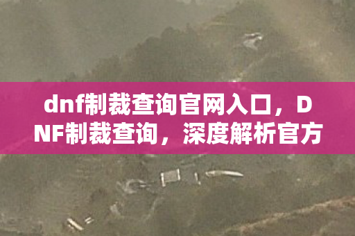 dnf制裁查询官网入口，DNF制裁查询，深度解析官方制裁机制与玩家应对策略