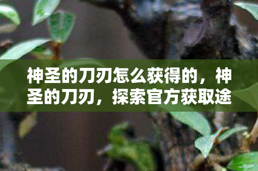 神圣的刀刃怎么获得的，神圣的刀刃，探索官方获取途径