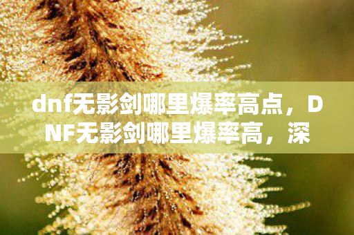 dnf无影剑哪里爆率高点，DNF无影剑哪里爆率高，深度解析与攻略