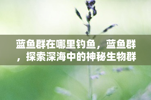 蓝鱼群在哪里钓鱼,蓝鱼群,探索深海中的神秘生物群落 蓝鱼群在哪里钓鱼,蓝鱼群,探索深海中的神秘生物群落