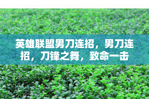 英雄联盟男刀连招,男刀连招,刀锋之舞,致命一击 英雄联盟男刀连招,男刀连招,刀锋之舞,致命一击