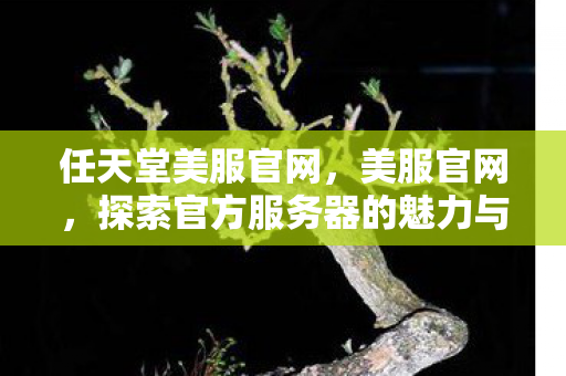 任天堂美服官网,美服官网,探索官方服务器的魅力与优势 任天堂美服官网,美服官网,探索官方服务器的魅力与优势