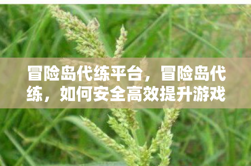 冒险岛代练平台,冒险岛代练,如何安全高效提升游戏等级 冒险岛代练平台,冒险岛代练,如何安全高效提升游戏等级