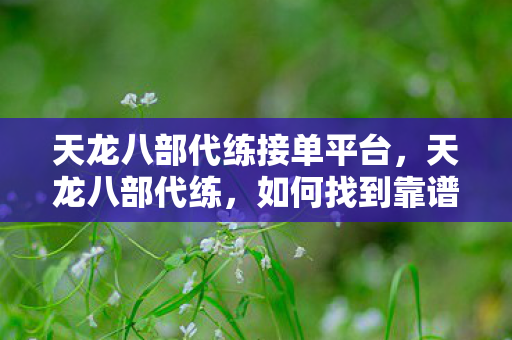 天龙八部代练接单平台,天龙八部代练,如何找到靠谱代练,避免游戏账号风险 天龙八部代练接单平台,天龙八部代练,如何找到靠谱代练,避免游戏账号风险