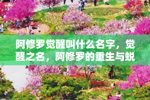 阿修罗觉醒叫什么名字,觉醒之名,阿修罗的重生与蜕变 阿修罗觉醒叫什么名字,觉醒之名,阿修罗的重生与蜕变