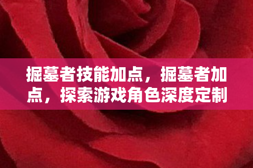 掘墓者技能加点,掘墓者加点,探索游戏角色深度定制的新境界 掘墓者技能加点,掘墓者加点,探索游戏角色深度定制的新境界