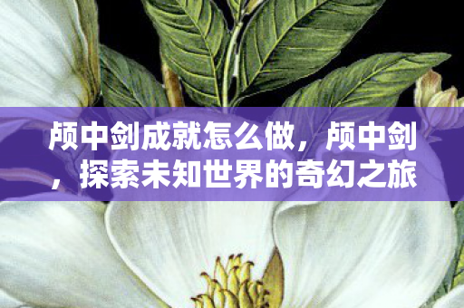 颅中剑成就怎么做，颅中剑，探索未知世界的奇幻之旅