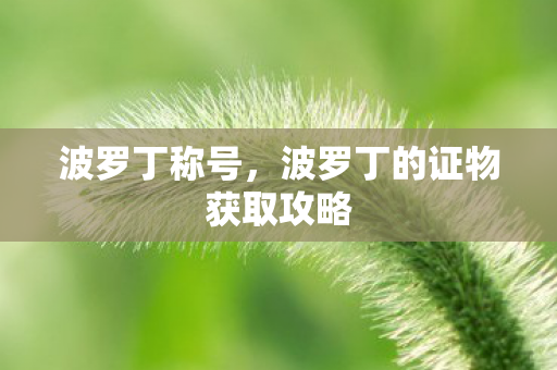 波罗丁称号,波罗丁的证物获取攻略 波罗丁称号,波罗丁的证物获取攻略