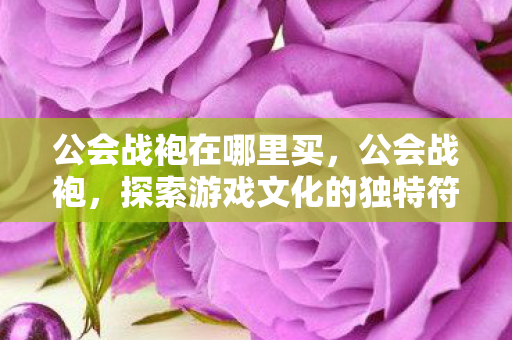 公会战袍在哪里买，公会战袍，探索游戏文化的独特符号