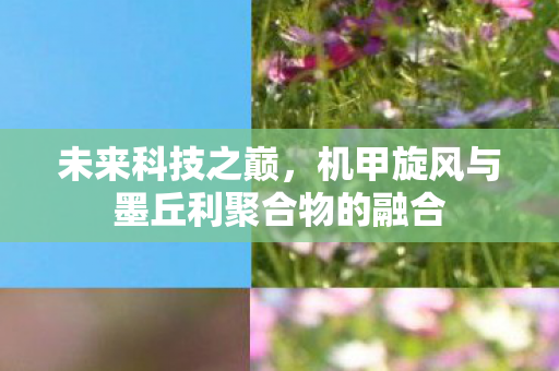 未来科技之巅，机甲旋风与墨丘利聚合物的融合