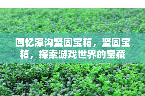 回忆深沟坚固宝箱,坚固宝箱,探索游戏世界的宝藏 回忆深沟坚固宝箱,坚固宝箱,探索游戏世界的宝藏