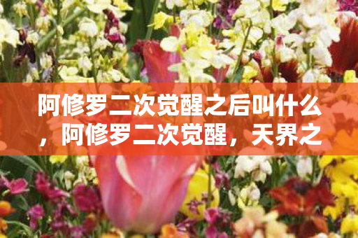 阿修罗二次觉醒之后叫什么，阿修罗二次觉醒，天界之怒