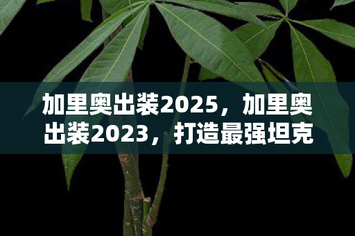 加里奥出装2025,加里奥出装2023,打造最强坦克的秘诀 加里奥出装2025,加里奥出装2023,打造最强坦克的秘诀