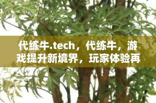 代练牛.tech,代练牛,游戏提升新境界,玩家体验再升级 代练牛.tech,代练牛,游戏提升新境界,玩家体验再升级