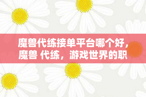 魔兽代练接单平台哪个好，魔兽 代练，游戏世界的职业玩家