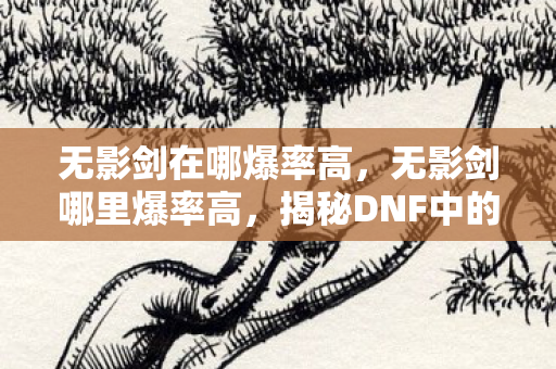 无影剑在哪爆率高，无影剑哪里爆率高，揭秘DNF中的神秘掉落
