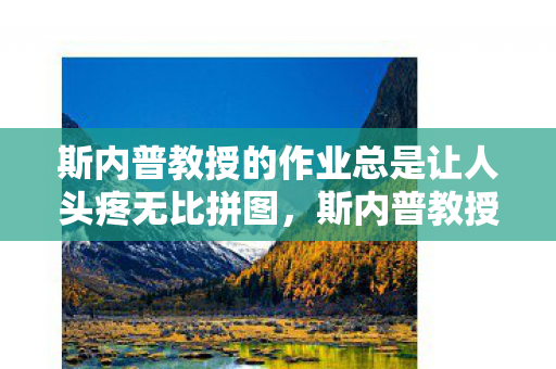 斯内普教授的作业总是让人头疼无比拼图，斯内普教授的作业总是让人头疼