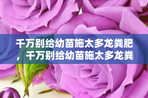 千万别给幼苗施太多龙粪肥，千万别给幼苗施太多龙粪
