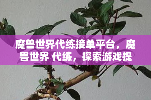 魔兽世界代练接单平台，魔兽世界 代练，探索游戏提升之路的合法选择