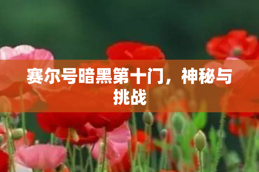 赛尔号暗黑第十门,神秘与挑战 赛尔号暗黑第十门,神秘与挑战