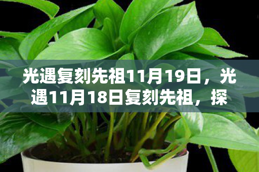 光遇复刻先祖11月19日,光遇11月18日复刻先祖,探索与回忆的交织 光遇复刻先祖11月19日,光遇11月18日复刻先祖,探索与回忆的交织