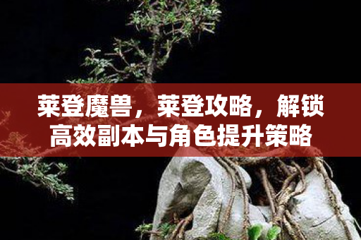 莱登魔兽,莱登攻略,解锁高效副本与角色提升策略 莱登魔兽,莱登攻略,解锁高效副本与角色提升策略