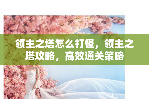 领主之塔怎么打怪,领主之塔攻略,高效通关策略 领主之塔怎么打怪,领主之塔攻略,高效通关策略