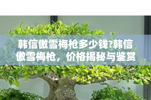 韩信傲雪梅枪多少钱?韩信傲雪梅枪,价格揭秘与鉴赏 韩信傲雪梅枪多少钱?韩信傲雪梅枪,价格揭秘与鉴赏