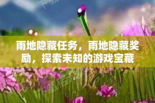 雨地隐藏任务，雨地隐藏奖励，探索未知的游戏宝藏