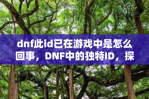 dnf此id已在游戏中是怎么回事,DNF中的独特ID,探索游戏中的个性化与归属感 dnf此id已在游戏中是怎么回事,DNF中的独特ID,探索游戏中的个性化与归属感