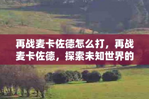 再战麦卡佐德怎么打,再战麦卡佐德,探索未知世界的奇幻之旅 再战麦卡佐德怎么打,再战麦卡佐德,探索未知世界的奇幻之旅