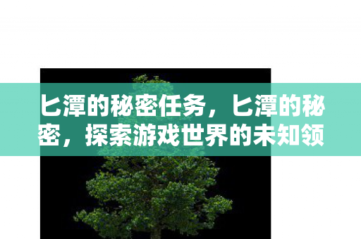 匕潭的秘密任务,匕潭的秘密,探索游戏世界的未知领域 匕潭的秘密任务,匕潭的秘密,探索游戏世界的未知领域