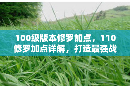 100级版本修罗加点,110修罗加点详解,打造最强战斗力的加点策略 100级版本修罗加点,110修罗加点详解,打造最强战斗力的加点策略