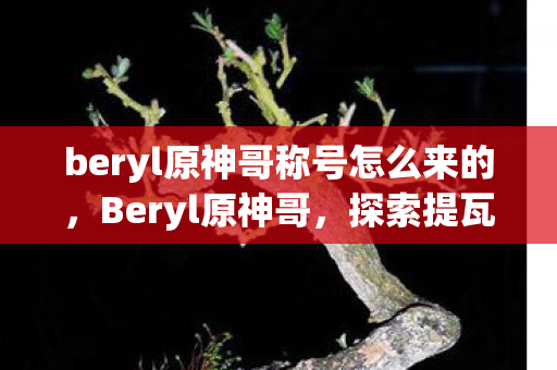 beryl原神哥称号怎么来的,Beryl原神哥,探索提瓦特大陆的独特视角 beryl原神哥称号怎么来的,Beryl原神哥,探索提瓦特大陆的独特视角