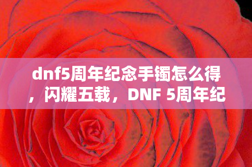 dnf5周年纪念手镯怎么得，闪耀五载，DNF 5周年纪念手镯的传奇故事