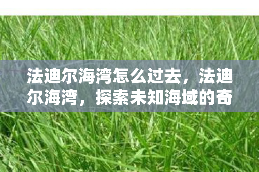 法迪尔海湾怎么过去,法迪尔海湾,探索未知海域的奇妙之旅 法迪尔海湾怎么过去,法迪尔海湾,探索未知海域的奇妙之旅